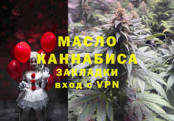 крисы Алзамай
